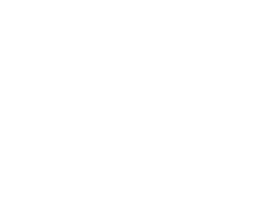 sny_logo_v03